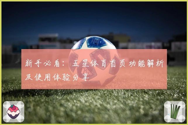 新手必看:五星体育首页功能解析及使用体验分享
