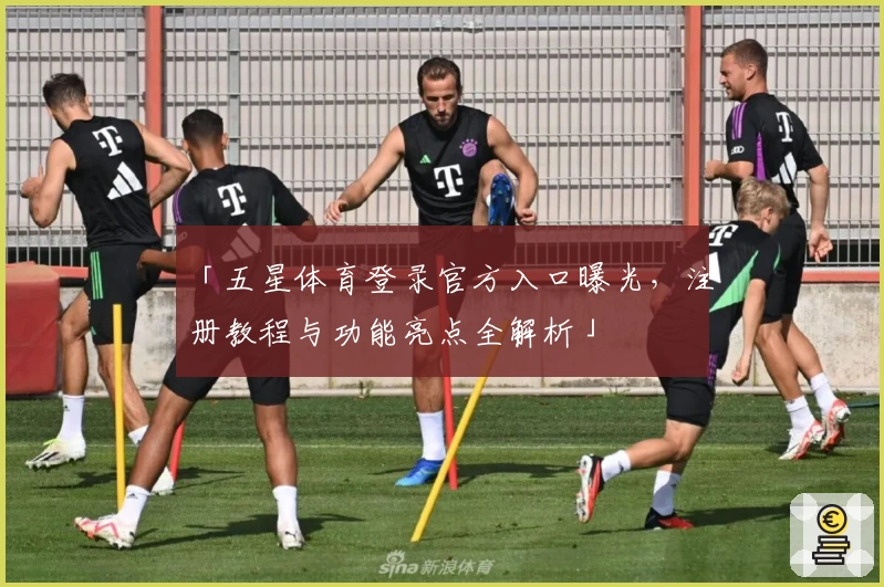 「五星体育登录官方入口曝光，注册教程与功能亮点全解析」