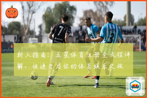新人指南：五星体育注册全流程详解，快速开启你的体育娱乐之旅